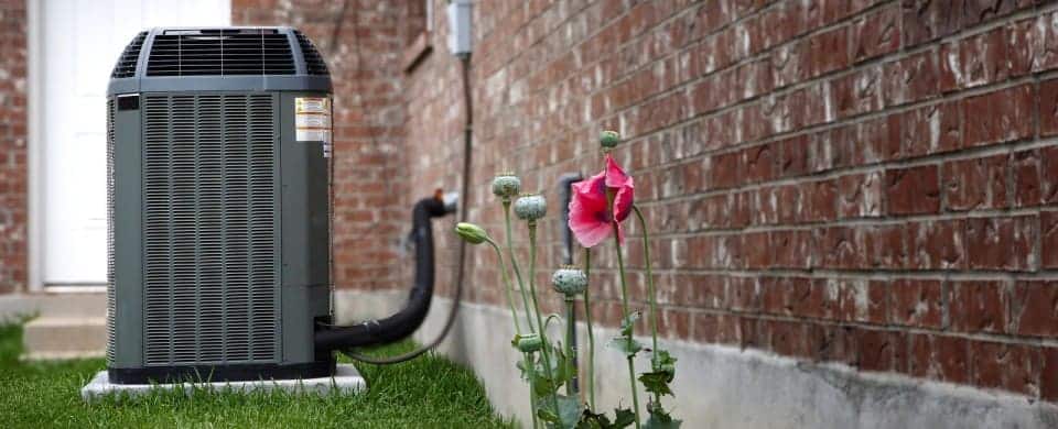 An outdoor air conditioning unit is placed next to a brick wall. A pink flower with buds grows nearby on the grass.