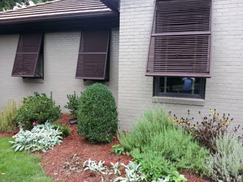 Lush landscaped garden with vibrant plants and shrubs surrounding a modern building featuring stylish brown window shutters, showcasing professional landscape architecture services.