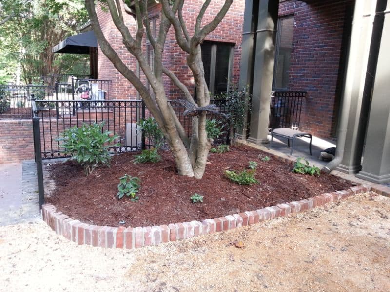Lush residential landscape design featuring trees and shrubbery by John Russell Landscape Architect for enhanced curb appeal and outdoor living.