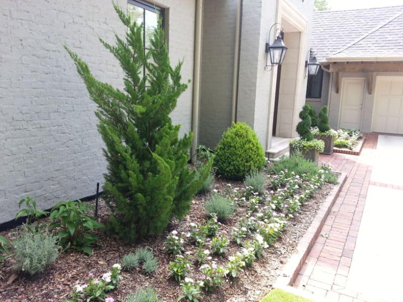 Lush green landscape design with a variety of plants, shrubs, and trees around a modern home, showcasing expert landscape architecture services by John Russell Landscape Architect.