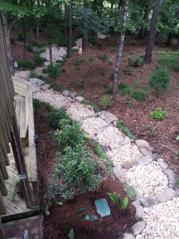 Natural landscaped backyard pathway with stone borders, surrounding lush trees and shrubs, designed by John Russell Landscape Architect for aesthetic and functional outdoor spaces.