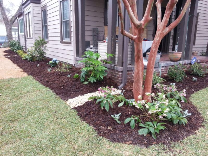 Lush landscaping with flower beds and mulch around a tree in a residential yard, showcasing professional landscape design services.