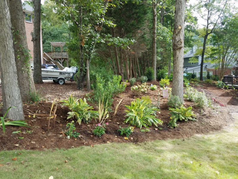 Lush, professionally landscaped garden with mature trees, vibrant plants, and a manicured lawn, designed by John Russell Landscape Architect for sustainable and aesthetic outdoor living.