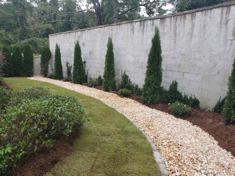 Lush landscape with tall evergreen trees, decorative shrubs, and a gravel pathway along a white wall, designed by John Russell Landscape Architect for elegant outdoor spaces.