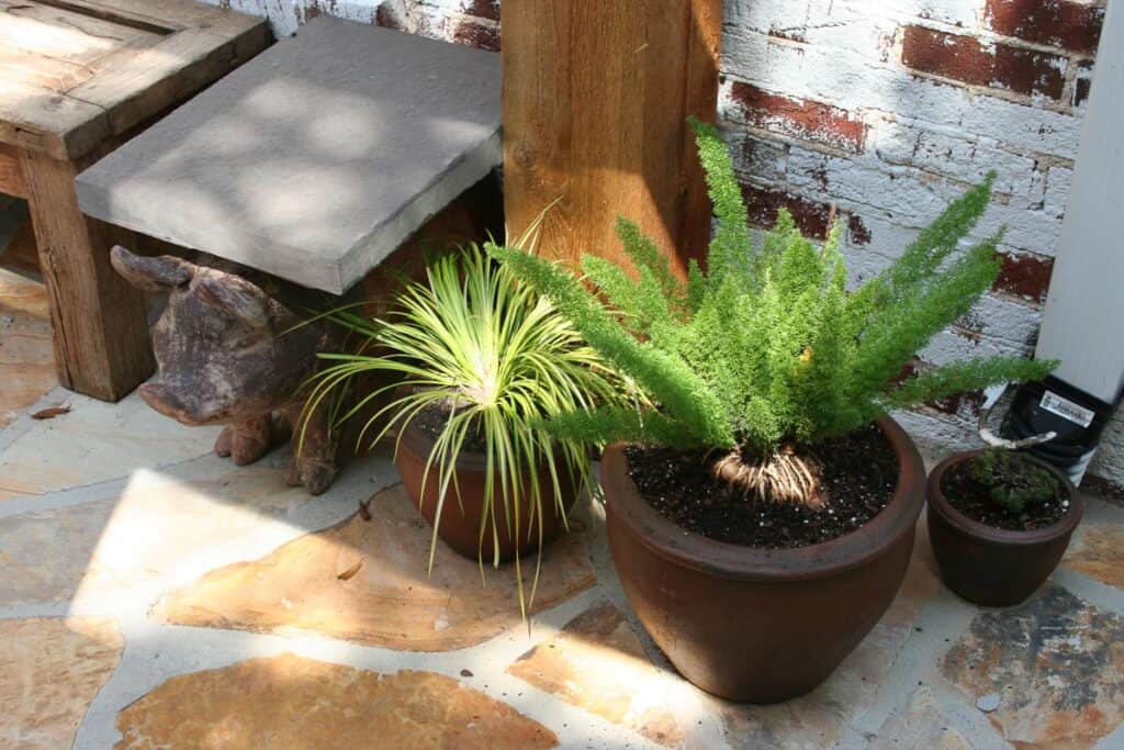 Landscape Birmingham AL | John Russell Landscape Architect