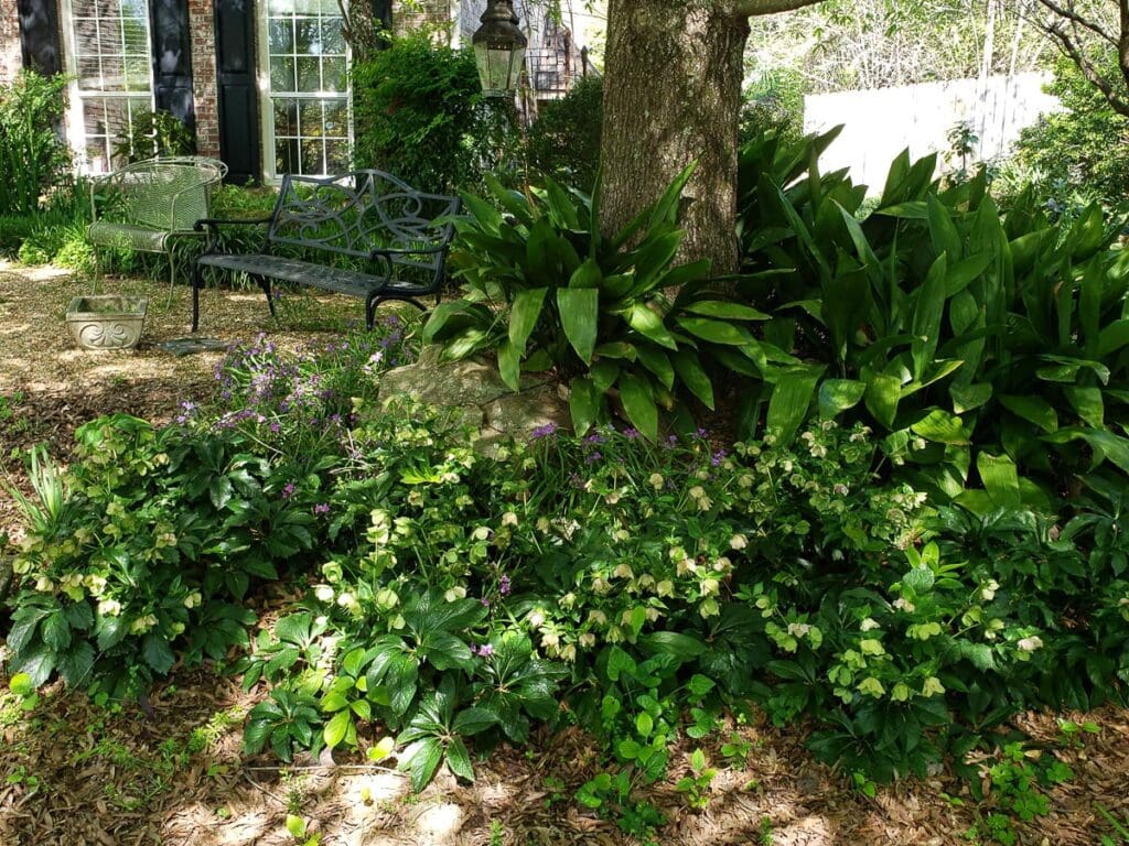 Landscape Birmingham AL | John Russell Landscape Architect