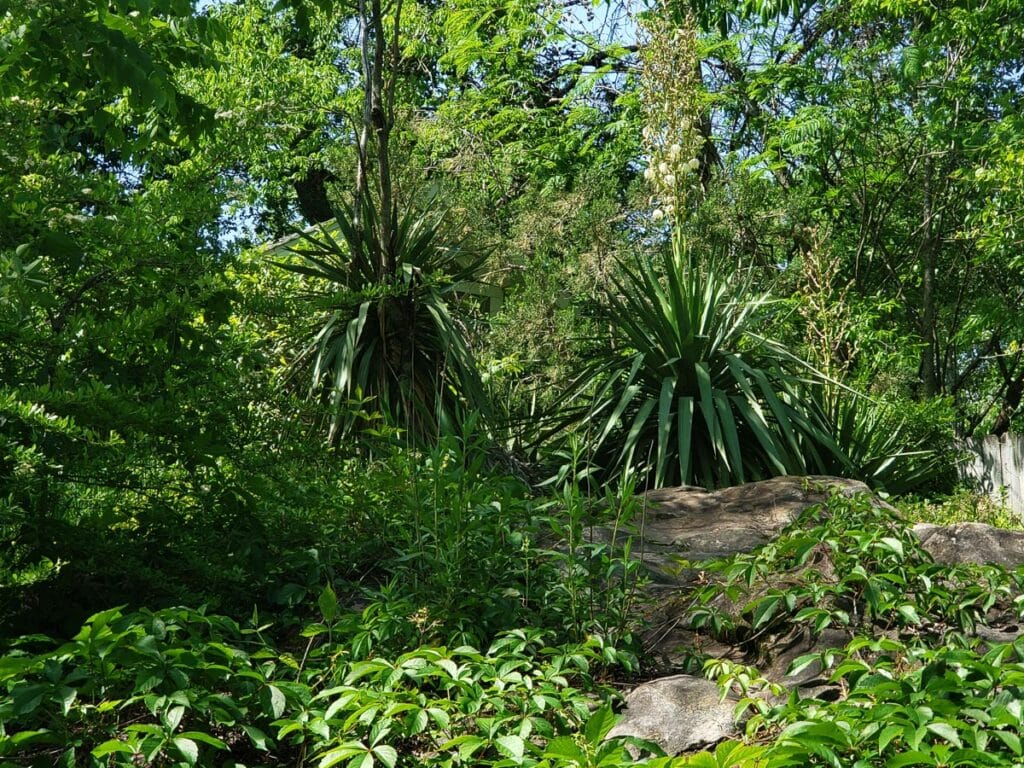 Landscape Birmingham AL | John Russell Landscape Architect