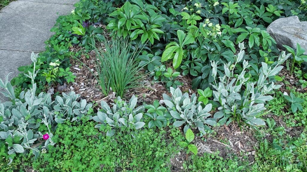 Landscape Birmingham AL | John Russell Landscape Architect