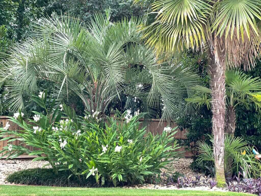 Landscape Birmingham AL | John Russell Landscape Architect