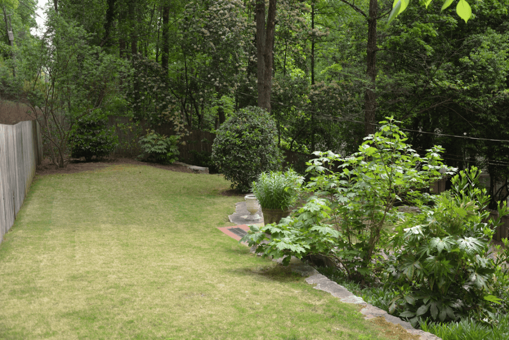 Lush green backyard landscape with manicured lawn, mature trees, and decorative plants, designed by John Russell Landscape Architect. Perfect for outdoor living and garden aesthetics.