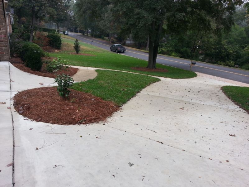 Lush landscaped front yard with fresh mulch bed and green grass, designed by John Russell Landscape Architect, showcasing expert driveway and garden design.