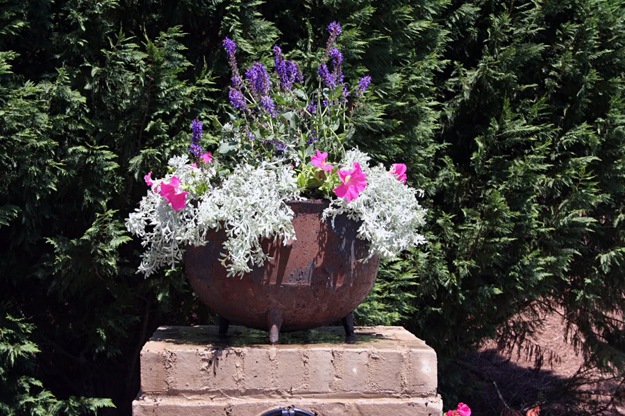 Brightly colored flower arrangement in a rustic planter against lush green foliage, showcasing expert landscape design by John Russell Landscape Architect.