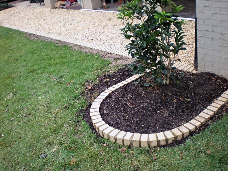 Brick-edged garden bed with shrub and fresh soil.