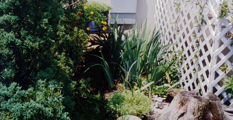 Lush garden landscape featuring decorative plants, garden fencing, and garden design elements by John Russell Landscape Architect.