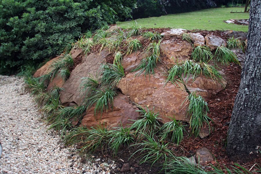 Rugged landscape design with large natural boulders and ornamental grasses, showcasing John Russell Landscape Architect's expertise in innovative outdoor space development.