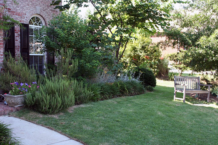 Lush landscaped backyard garden with vibrant greenery, flowering plants, and a cozy wooden bench, designed by John Russell Landscape Architect. Perfect for relaxation and outdoor enjoyment.