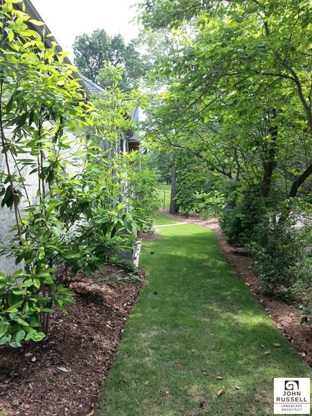 Lush green landscaping with a well-maintained garden pathway designed by John Russell Landscape Architect.