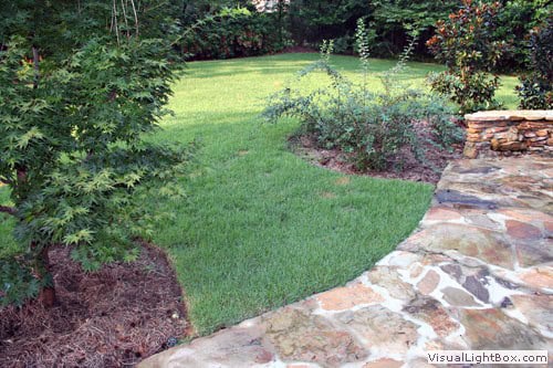 Lush green backyard landscape with professional stone patio design by John Russell Landscape Architect.