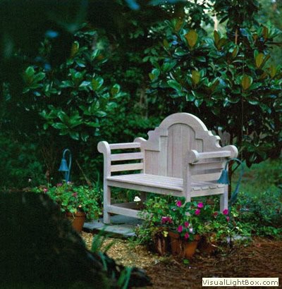 Colorful garden corner with a charming white wooden bench surrounded by vibrant flowers and lush greenery, creating a peaceful outdoor retreat.