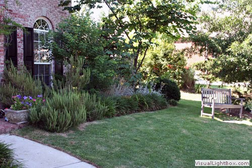 Lush landscaped backyard with vibrant plantings, mature trees, and cozy seating area, designed by John Russell Landscape Architect for outdoor enjoyment and aesthetic beauty.