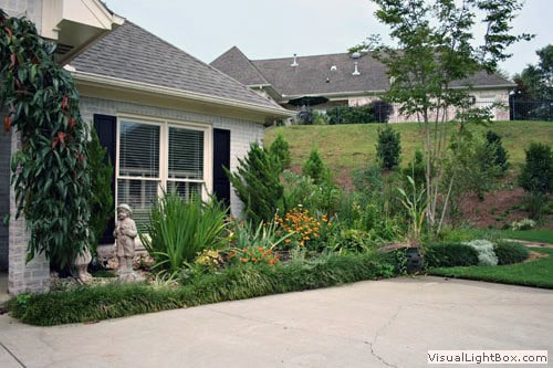Lush residential landscape designed by John Russell Landscape Architect featuring vibrant plants, shrubs, and trees enhancing curb appeal and outdoor beauty.