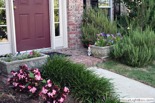 Lush, professionally designed landscape garden with vibrant flowers and greenery, enhancing curb appeal and outdoor beauty.
