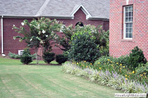 Lush landscaped garden with flowering bushes and vibrant greenery in front of a brick house, showcasing professional landscape architecture by John Russell.