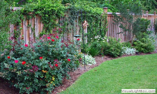 Vibrant garden with colorful flowers and lush greenery, designed by John Russell Landscape Architect for aesthetic appeal and outdoor living excellence.