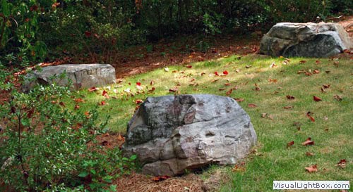 Rocks and landscaped garden in a professionally designed outdoor space by John Russell Landscape Architect.