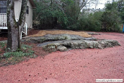 Natural rock landscape design with red mulch and mature trees in a backyard garden.