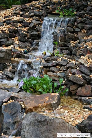 Elegant garden waterfall with natural stone landscaping and lush aquatic plants, designed by John Russell Landscape Architect for outdoor water features.