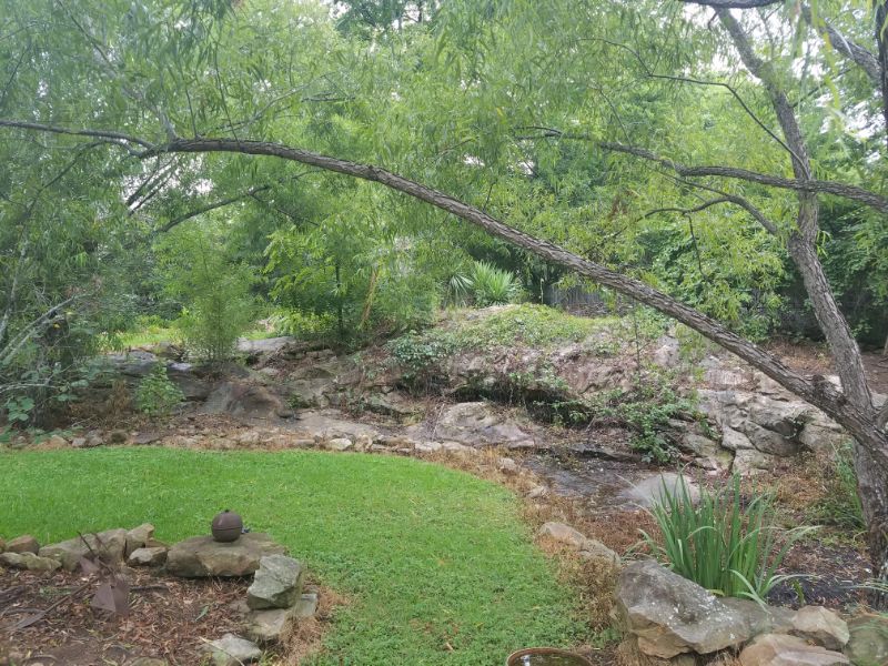 Lush green landscape with landscaped rocks and a small water feature, designed by John Russell Landscape Architect. Tranquil garden with mature trees and vibrant plantings creates a peaceful outdoor space.