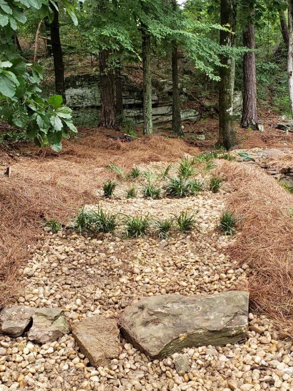 Variety of plants and rocks in wooded landscape design by John Russell Landscape Architect, emphasizing natural native landscaping and sustainable garden solutions.