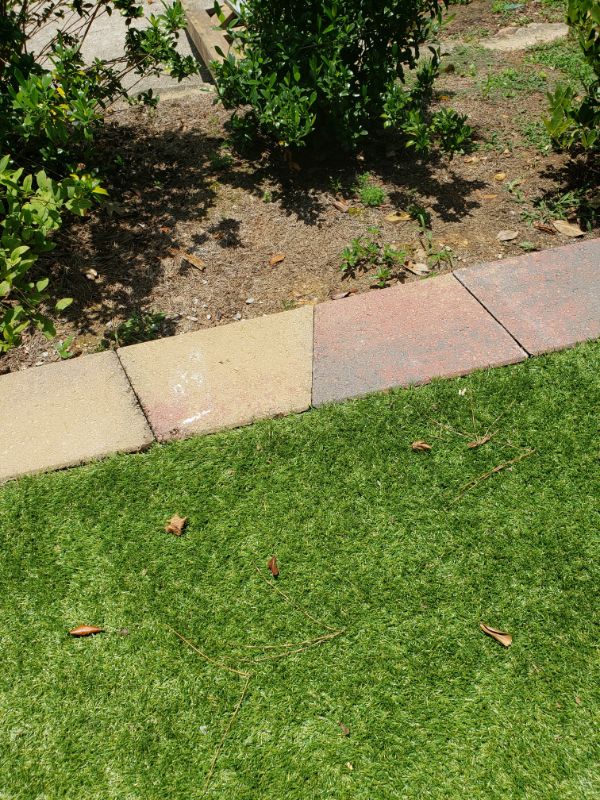 Green landscaped garden with neatly maintained grass, colorful paving stones, and lush bushes for a professional landscape design by John Russell Landscape Architect.