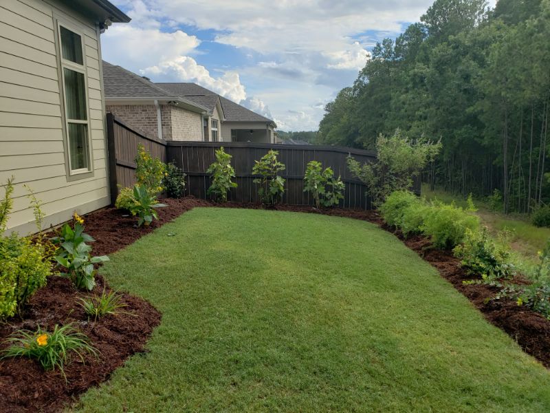 Lush backyard garden with freshly landscaped lawn, ornamental plants, and a black privacy fence, designed by John Russell Landscape Architect, showcasing professional landscape design and outdoor living enhancement.