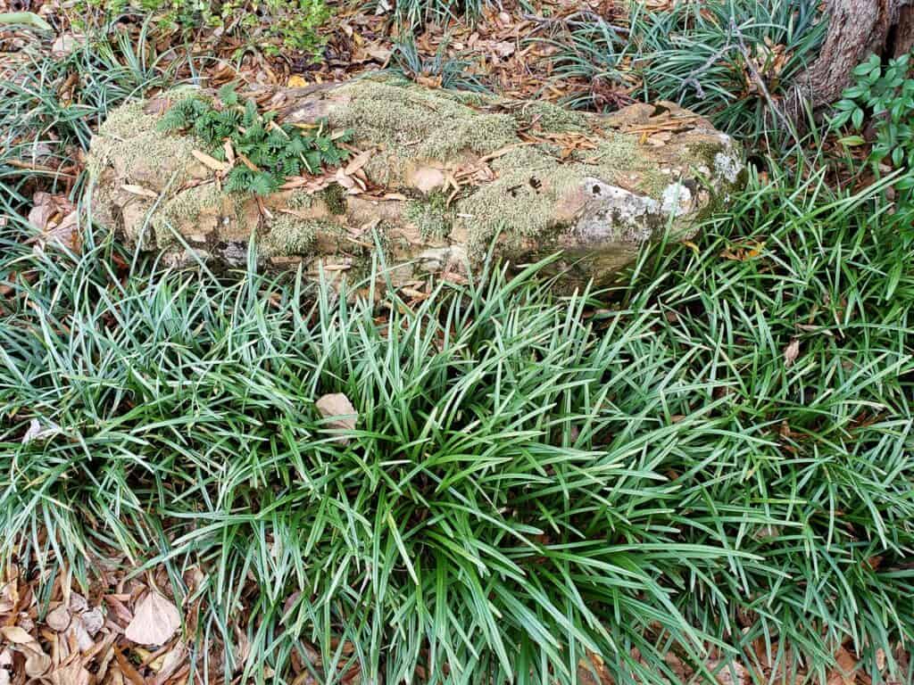 Landscape Birmingham AL | John Russell Landscape Architect