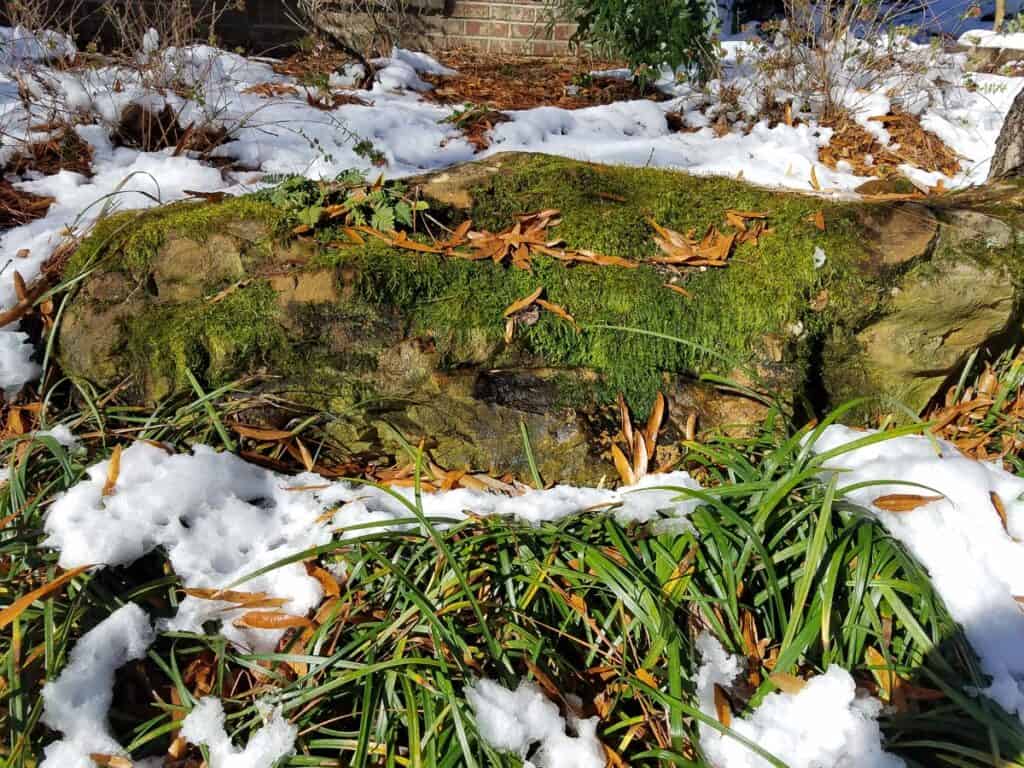 Landscape Birmingham AL | John Russell Landscape Architect