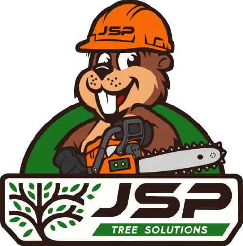 JSP-Tree-Solutions-Logo