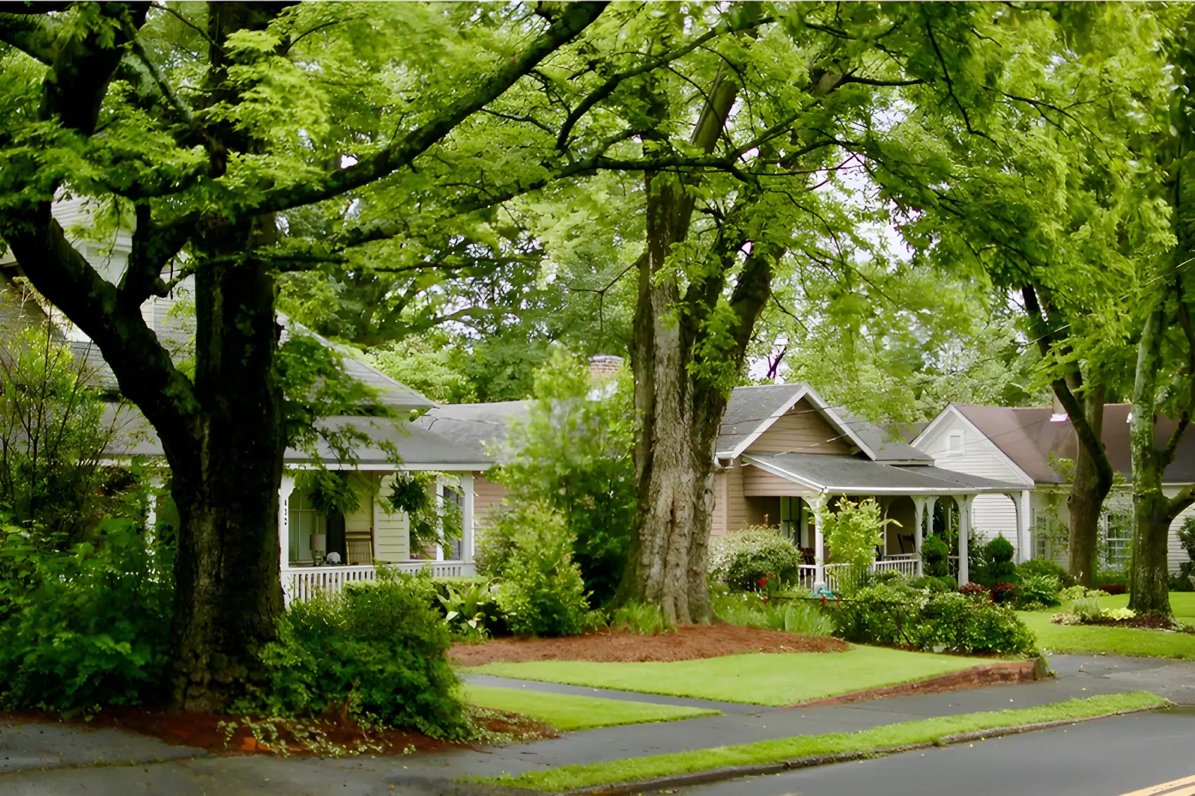 Tree-Lined-Residential-Street-With-Manicured-Lawns