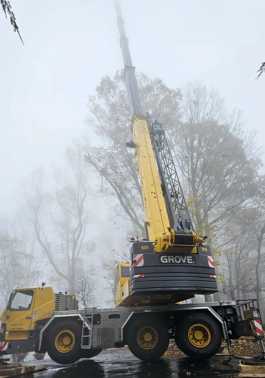 Large-Grove-Crane-For-Tree-Removal-Service