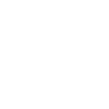 Property-Protection-Shield-Icon