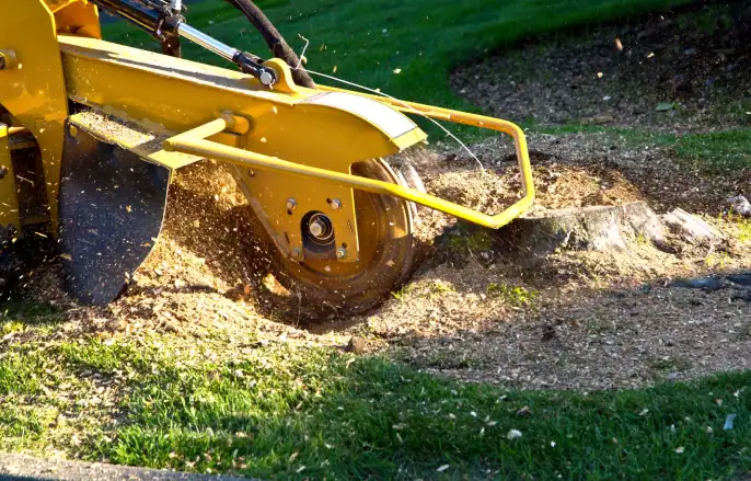 Stump Grinding and Removal
