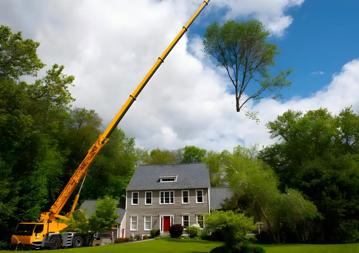 Crane-Removing-Large-Tree-Section