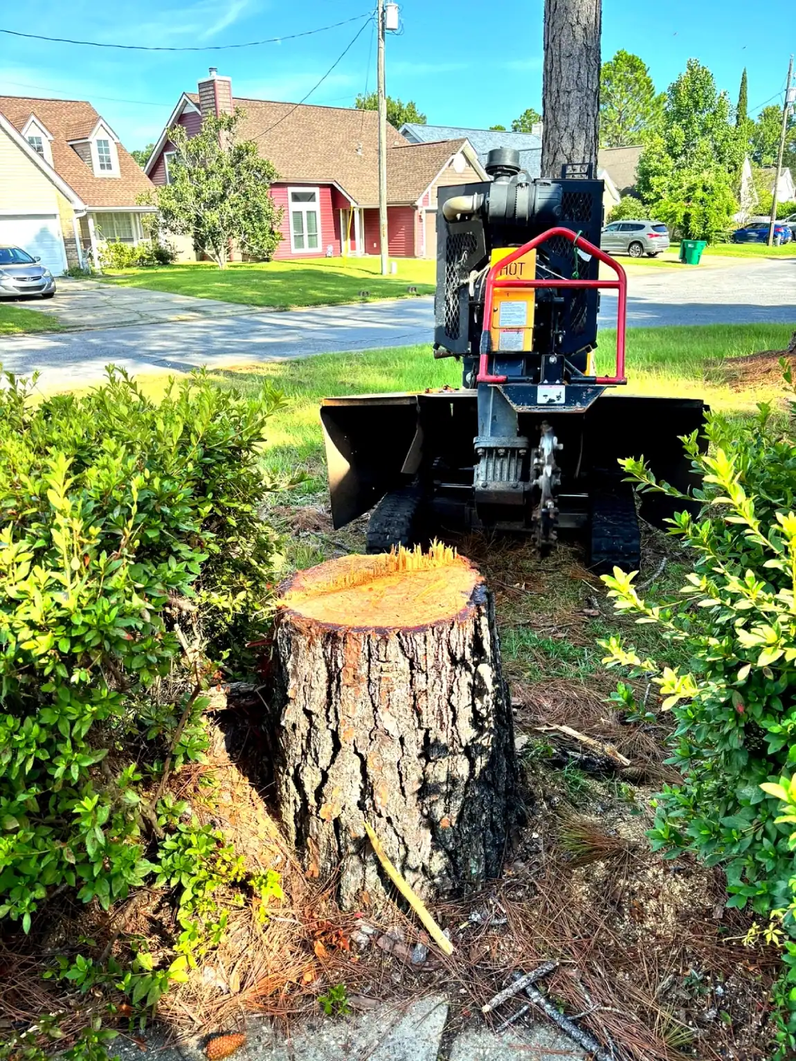 Stump-Grinder-Residential-Yard-Removal