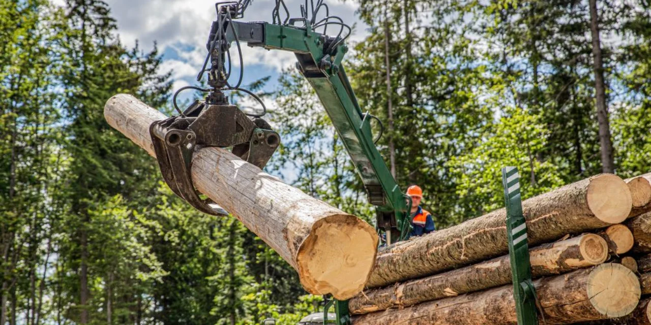 Heavy-Equipment-Loading-Logs-After-Tree-Removal