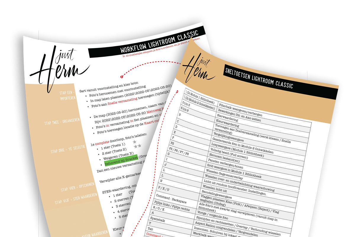 2025-03-31 Sheets Training Lightroom - just Herm