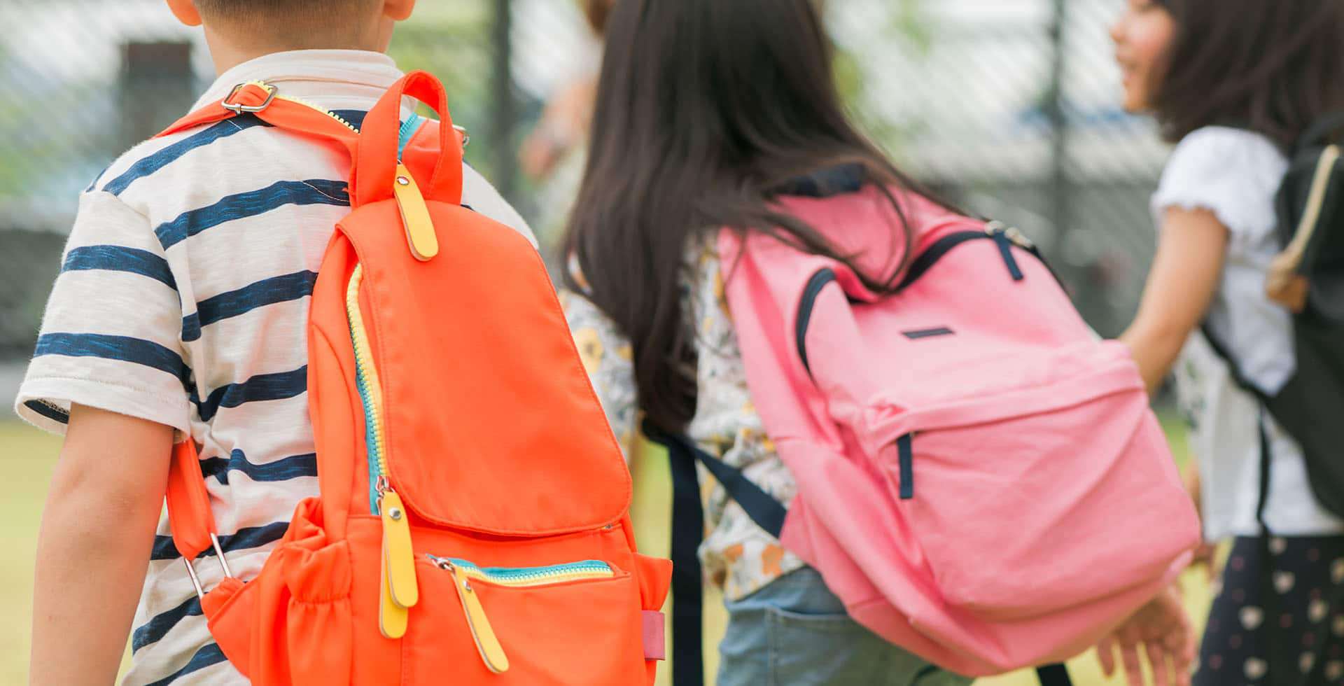 Sur les chemins de l’école