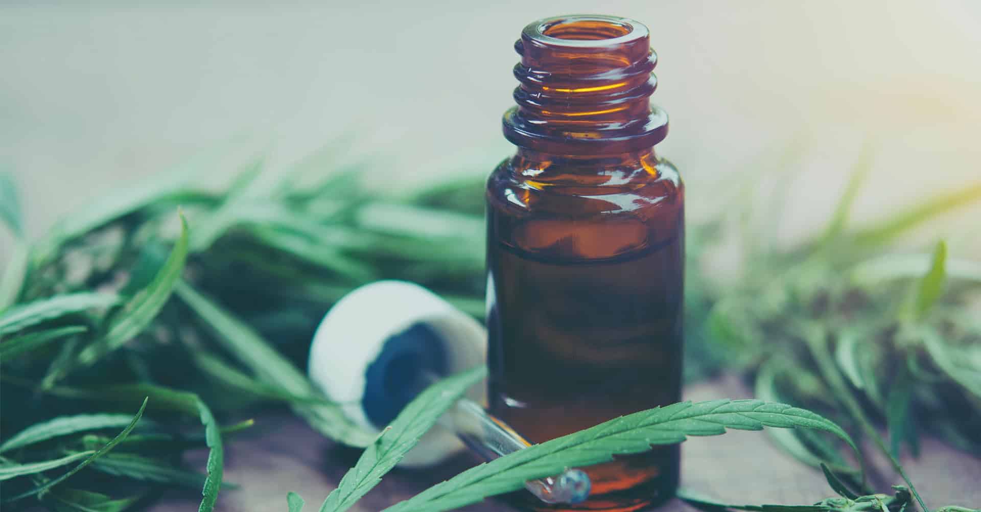 CBD Kalamuan kontzentrazio desberdineko olioak ditugu, aukeratu zure beharretara gehien egokitzen dena