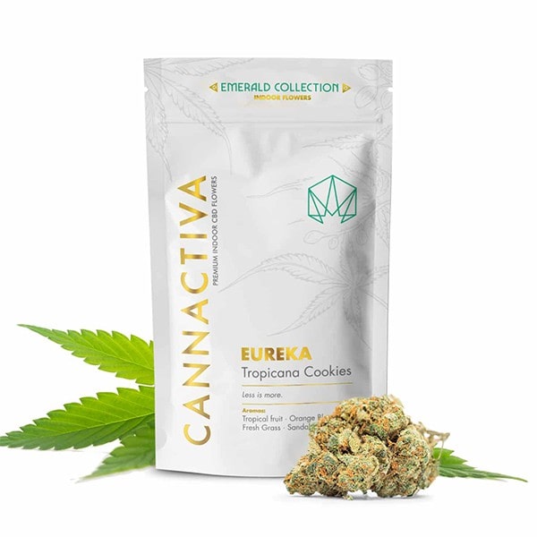 Indoor Eureka (Tropicana Cookies) CBD loreak – Cannactiva