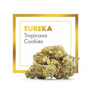 Flores de CBD Indoor Eureka (Tropicana Cookies) de Cannactiva